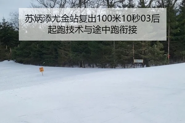 苏炳添尤金站复出100米10秒03后起跑技术与途中跑衔接